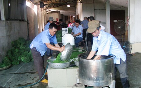 4 van de can giai quyet cua HTX kieu moi