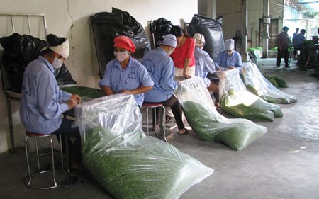 7 nhom giai phap cho doi moi hop tac xa