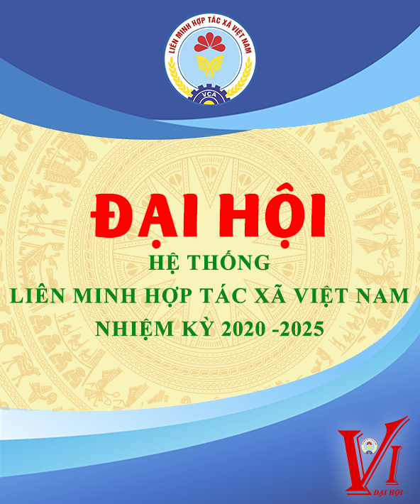 Đại hội 6 