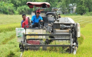 Over EUR7 million to aid delta farmers’ green production