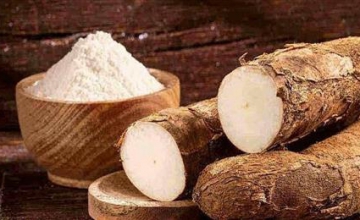 China spends nearly US$400 million purchasing cassava from Vietnam