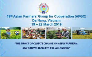 The Role of VCA on the Impact of Climate Change on Asian Farmers