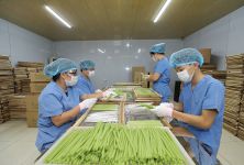 Hợp tác xã nông nghiệp xanh: Chuyển đổi là tất yếu, nhưng thách thức còn chồng chất
