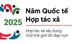 Thông điệp của Chủ tịch Liên minh HTX quốc tế khu vực Châu Á – Thái Bình Dương (ICA-AP) về tiến độ thực hiện Năm quốc tế HTX 2025 và hướng tới Ngày HTX quốc tế 2025 vào ngày 05/7/2025 Thông điệp của Chủ tịch Liên minh HTX quốc tế khu vực Châu Á – Thái Bình Dương (ICA-AP) về tiến độ thực hiện Năm quốc tế HTX 2025 và hướng tới Ngày HTX quốc tế 2025 vào ngày 05/7/2025