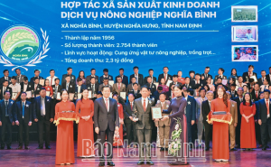 Nam Đinh - Hợp tác xã Sản xuất Kinh doanh Dịch vụ Nông nghiệp Nghĩa Bình: Đổi mới hoạt động để phát triển bền vững Nam Đinh - Hợp tác xã Sản xuất Kinh doanh Dịch vụ Nông nghiệp Nghĩa Bình: Đổi mới hoạt động để phát triển bền vững