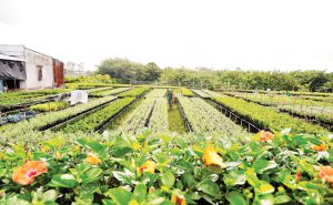 Nâng cao hiệu quả của các hợp tác xã kiểu mới Nâng cao hiệu quả của các hợp tác xã kiểu mới