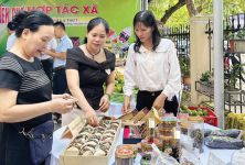 Khẳng định bản lĩnh phụ nữ Huế trong thời đại mới