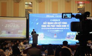 Báo chí là 'ngòi bút tiên phong' lan tỏa mô hình kinh tế hợp tác, HTX Báo chí là 'ngòi bút tiên phong' lan tỏa mô hình kinh tế hợp tác, HTX
