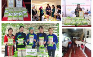 Bắc Kạn: Gương sáng trong sản xuất, kinh doanh nông sản an toàn Bắc Kạn: Gương sáng trong sản xuất, kinh doanh nông sản an toàn