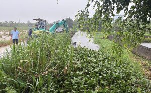HTX chủ động ứng phó bão Wipha HTX chủ động ứng phó bão Wipha