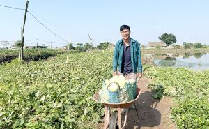 Điểm tựa làm giàu bền vững trên những vựa thủy sản, khu vườn bạc tỷ ở vùng đất trứ danh tỉnh Ninh Bình Điểm tựa làm giàu bền vững trên những vựa thủy sản, khu vườn bạc tỷ ở vùng đất trứ danh tỉnh Ninh Bình