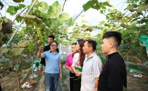 Lai Châu: Phát triển nông nghiệp hàng hoá gắn với tiêu thụ - hướng đi bền vững giảm nghèo ở Hua Nà Lai Châu: Phát triển nông nghiệp hàng hoá gắn với tiêu thụ - hướng đi bền vững giảm nghèo ở Hua Nà