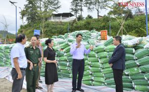 Bàn giao, nghiệm thu dự án hỗ trợ trồng rau cải củ hữu cơ tại Xín Mần Bàn giao, nghiệm thu dự án hỗ trợ trồng rau cải củ hữu cơ tại Xín Mần
