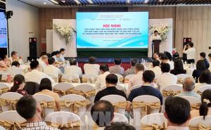 Chuyển đổi số mở ra cơ hội phát triển cho các hợp tác xã Chuyển đổi số mở ra cơ hội phát triển cho các hợp tác xã