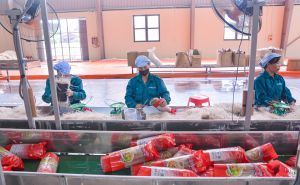 Công nghệ giúp HTX tối ưu chi phí, nâng tầm đặc sản Công nghệ giúp HTX tối ưu chi phí, nâng tầm đặc sản