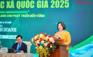 Thúc đẩy chuyển đổi sản xuất xanh cho phát triển bền vững Thúc đẩy chuyển đổi sản xuất xanh cho phát triển bền vững