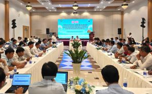 'Liên kết ở ĐBSCL kiểu tôi đặt cọc, tới vụ tôi lấy lúa, thế thôi' 'Liên kết ở ĐBSCL kiểu tôi đặt cọc, tới vụ tôi lấy lúa, thế thôi'