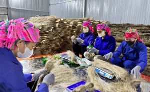 Bắc Kạn: Mở rộng  Bắc Kạn: Mở rộng
