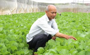 Nỗ lực làm giàu, sẻ chia cùng phát triển Nỗ lực làm giàu, sẻ chia cùng phát triển