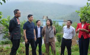 Kinh tế hợp tác vượt khó khăn, vững bước đi lên Kinh tế hợp tác vượt khó khăn, vững bước đi lên