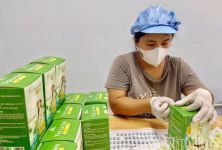 Phú Thọ: Phát triển kinh tế tập thể, tạo sinh kế bền vững