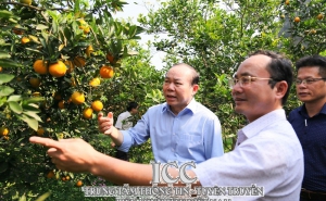Chủ tịch Nguyễn Ngọc Bảo khảo sát một số mô hình sản phẩm chủ lực tại huyện Lạc Thủy, tỉnh Hòa Bình
