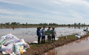Ninh Bình: Liên minh HTX tỉnh triển khai mô hình sản xuất lúa theo hướng hữu cơ