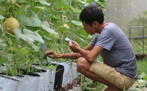 Đồng Tháp: Thanh niên 9X và giấc mơ phát triển nông nghiệp công nghệ cao ở vùng biên