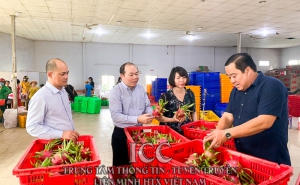 Chủ tịch Nguyễn Ngọc Bảo làm việc với UBND tỉnh Long An về Đề án chuỗi Thanh Long