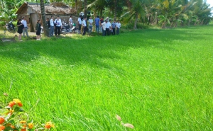 Hợp tác xã nông nghiệp Phú Cần: hoạt động theo phương châm phù hợp cơ chế thị trường và thích ứng với biến đổi khí hậu