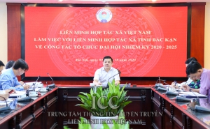 Phó chủ tịch Nguyễn Văn Thịnh làm việc với Liên minh HTX Bắc Kạn về tổ chức Đại hội