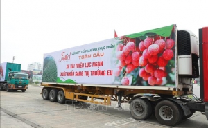 Xúc tiến thương mại trực tuyến - Bài 1: Mở 'luồng xanh' đưa hàng hóa Việt Nam ra thế giới