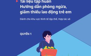 Hướng dẫn phòng ngừa, giảm thiểu lao động trẻ em trong khu vực kinh tế tập thể, hợp tác xã Hướng dẫn phòng ngừa, giảm thiểu lao động trẻ em trong khu vực kinh tế tập thể, hợp tác xã