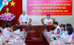 Liên minh Hợp tác xã Việt Nam hỗ trợ Bình Phước xây dựng mô hình HTX kiểu mẫu