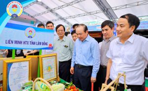 Chia sẻ kinh nghiệp, kết nối tiêu thụ sản phẩm Chia sẻ kinh nghiệp, kết nối tiêu thụ sản phẩm