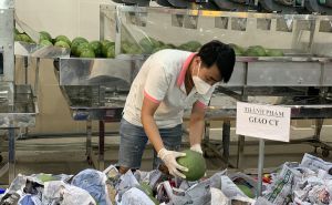 Nâng cao năng lực hợp tác xã, kết nối nông dân Việt Nam vào chuỗi giá trị toàn cầu Nâng cao năng lực hợp tác xã, kết nối nông dân Việt Nam vào chuỗi giá trị toàn cầu