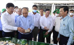 Chủ tịch nước Nguyễn Xuân Phúc thăm một số mô hình kinh tế hợp tác tại Đồng Tháp Chủ tịch nước Nguyễn Xuân Phúc thăm một số mô hình kinh tế hợp tác tại Đồng Tháp