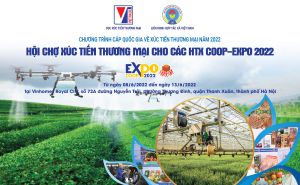 Kết nối giao thương, chia sẻ cơ hội hợp tác kinh doanh cho các HTX Kết nối giao thương, chia sẻ cơ hội hợp tác kinh doanh cho các HTX