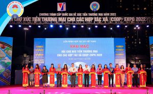 Khai thác nguồn lực khu vực KTTT, HTX góp phần phục hồi, phát triển kinh tế - xã hội Khai thác nguồn lực khu vực KTTT, HTX góp phần phục hồi, phát triển kinh tế - xã hội