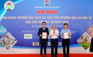 Hỗ trợ cho các HTX ứng dụng thương mại điện tử trong hoạt động sản xuất kinh doanh Hỗ trợ cho các HTX ứng dụng thương mại điện tử trong hoạt động sản xuất kinh doanh