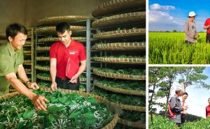 Một số điểm mới, nổi bật của Luật Hợp tác xã có hiệu lực từ ngày 1/7/2024 Một số điểm mới, nổi bật của Luật Hợp tác xã có hiệu lực từ ngày 1/7/2024