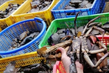 Giá nhiều loại hải sản ở Trà Vinh tăng cao