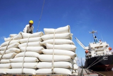 Xuất khẩu gạo có nhiều tín hiệu tích cực ngay từ quý đầu năm 2024