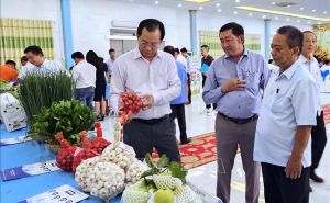 Xây dựng các mô hình sản xuất nông nghiệp hữu cơ được chứng nhận Xây dựng các mô hình sản xuất nông nghiệp hữu cơ được chứng nhận
