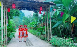 Đắm mình trong mây nước Phượng Hoàng Đắm mình trong mây nước Phượng Hoàng