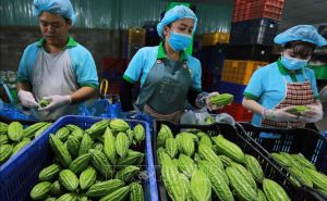 Tính chuyện đường dài cho hợp tác xã Tính chuyện đường dài cho hợp tác xã