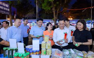 Hội chợ xúc tiến thương mại cho khu vực kinh tế tập thể, hợp tác xã năm 2024 khu vực miền Trung- Tây Nguyên Hội chợ xúc tiến thương mại cho khu vực kinh tế tập thể, hợp tác xã năm 2024 khu vực miền Trung- Tây Nguyên
