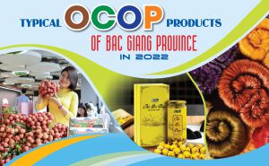 Lạng Giang (Bắc Giang): Nỗ lực đưa sản phẩm OCOP lên tầm cao mới Lạng Giang (Bắc Giang): Nỗ lực đưa sản phẩm OCOP lên tầm cao mới