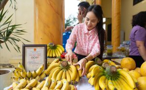 Sản phẩm chuối Vân Nam cho thu tiền tỷ mỗi năm Sản phẩm chuối Vân Nam cho thu tiền tỷ mỗi năm