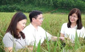 Hợp tác xã giữ vai trò nòng cốt trong phát triển nông nghiệp hữu cơ Hợp tác xã giữ vai trò nòng cốt trong phát triển nông nghiệp hữu cơ